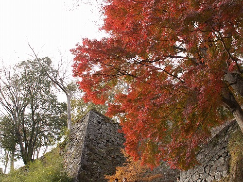 秋の岡城13
