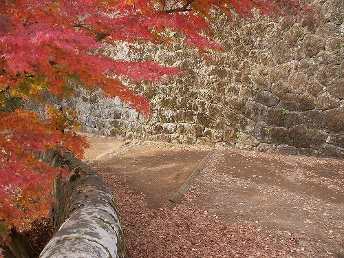 秋の岡城18