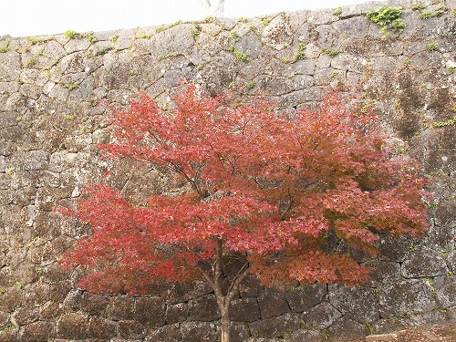 秋の岡城19