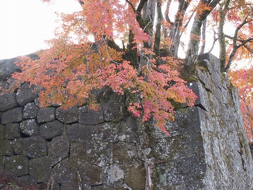秋の岡城24
