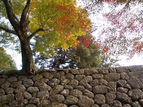 秋の岡城26