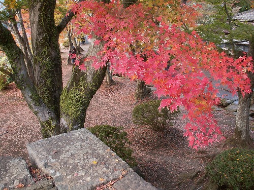 秋の岡城27