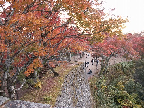 秋の岡城28