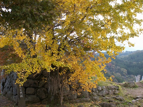 秋の岡城30