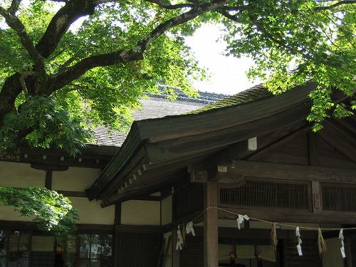 広瀬神社14