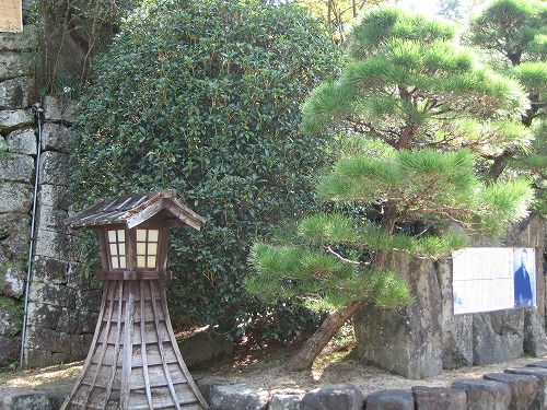 瀧廉8