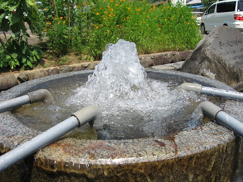 湧水プール5