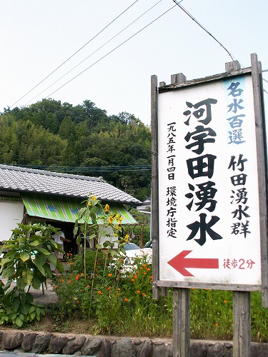 湧水プール2