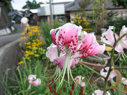 下ん湯2
