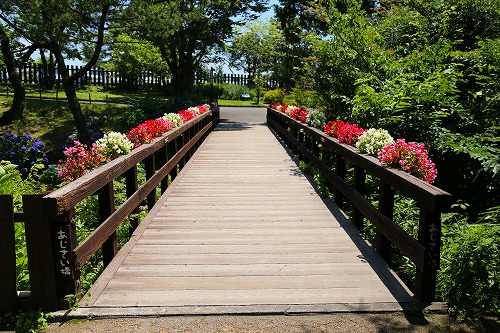 花公園13