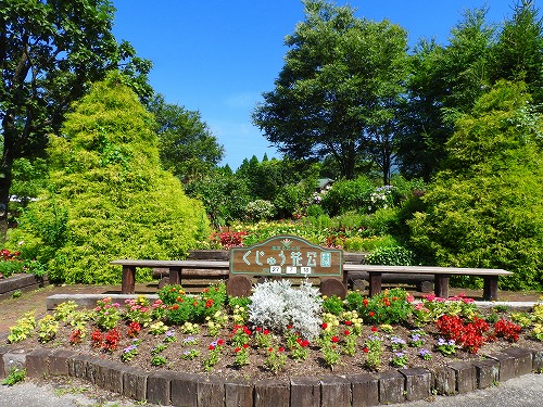 花公園16