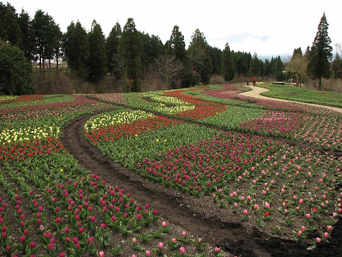 花公園7