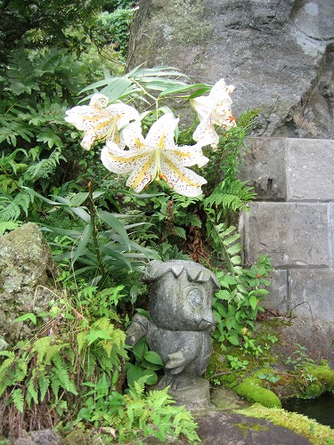 久住高原29