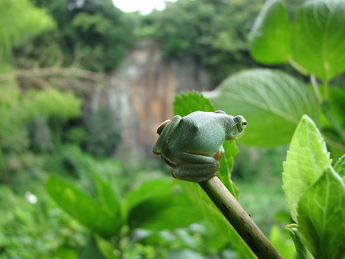 普光寺5