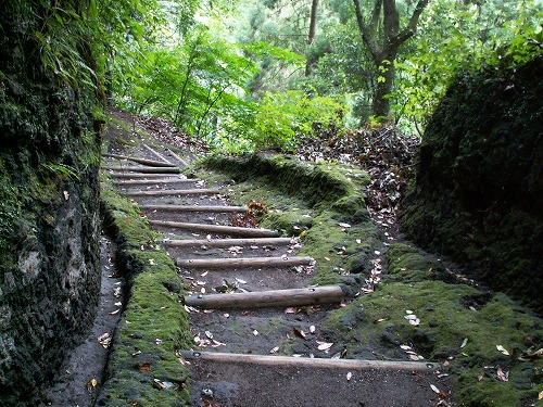 普光寺8