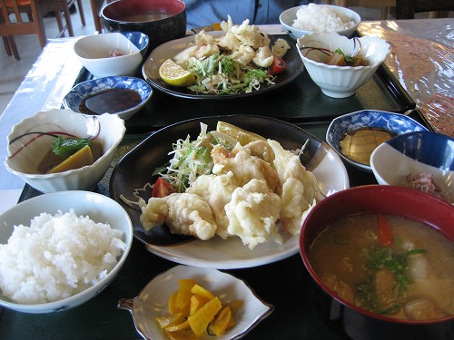 松樹3