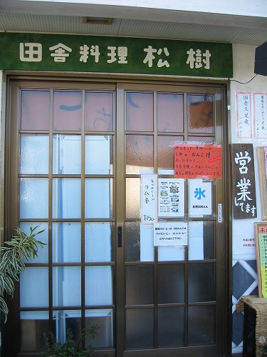 松樹2