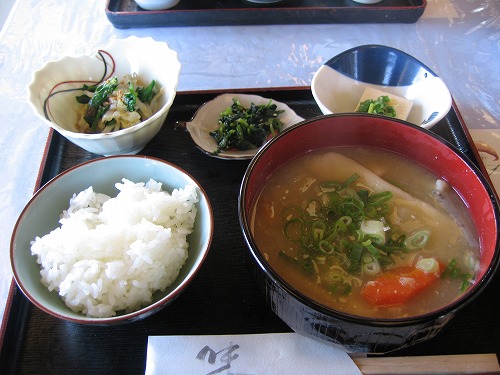 松樹5