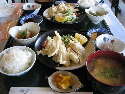 松樹7