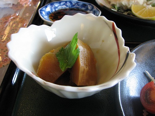 松樹6