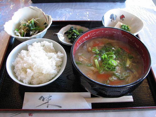 松樹9