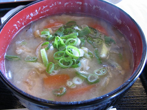 松樹10