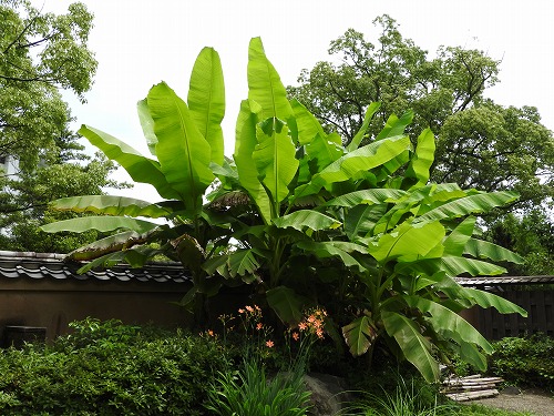 能見邸18