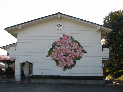 花16