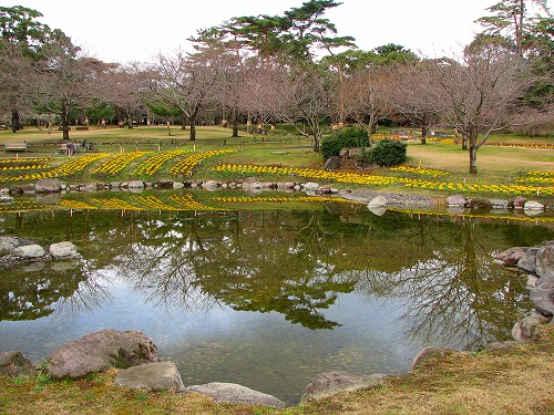 別府公園5