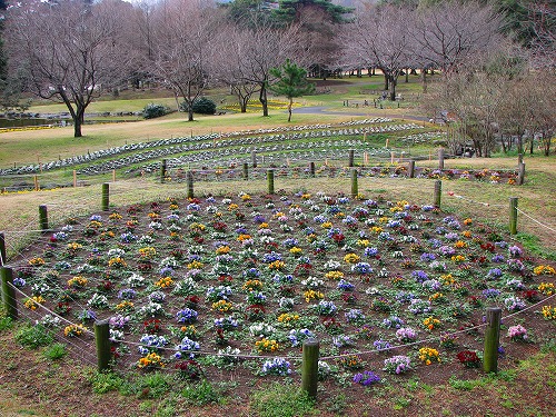 別府公園6