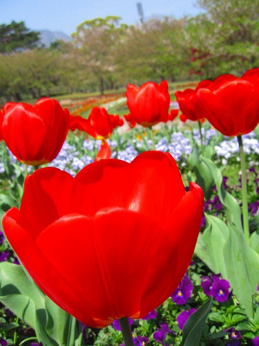 別府公園19