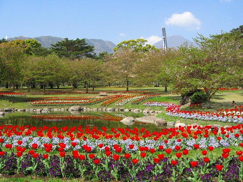 別府公園3