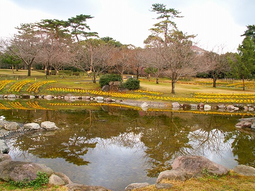 別府公園8