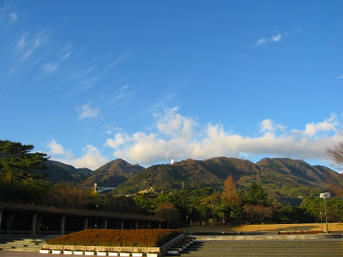 梅13
