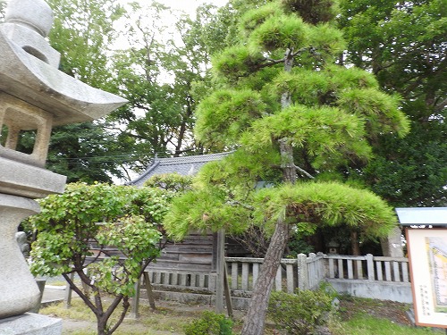 中津神社8