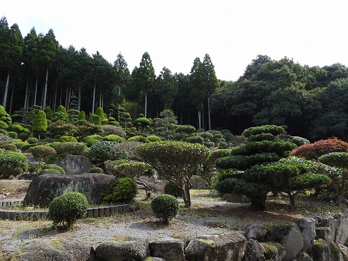 逸見邸3