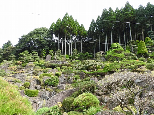 逸見邸5