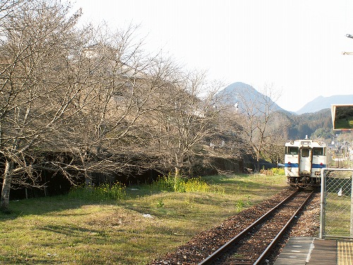 宝珠山駅12