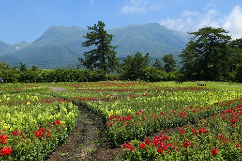 花公園14