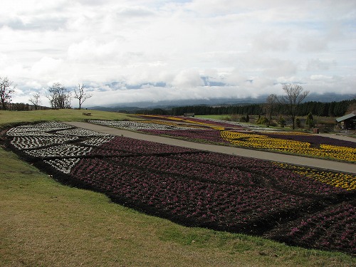 花公園13
