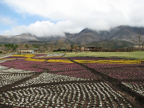 花公園10
