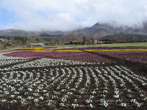 花公園1