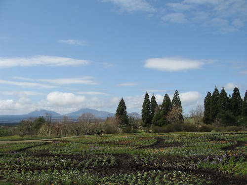 花公園4