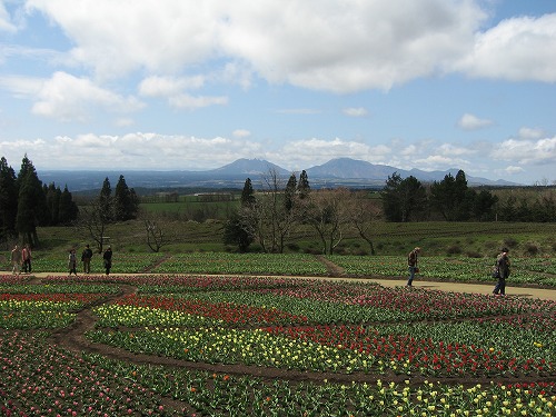 花公園5