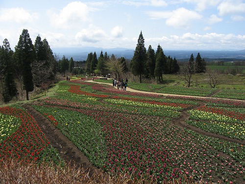 花公園6