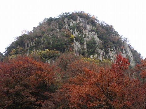 群猿山1