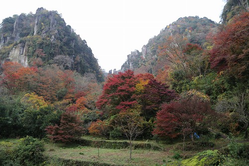 群猿山4
