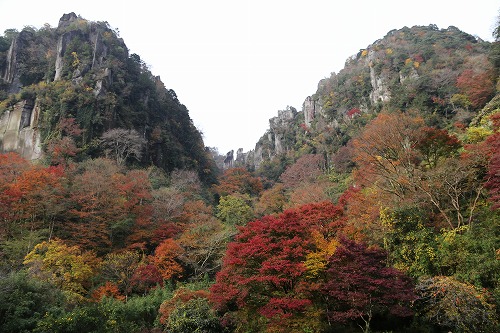 群猿山3