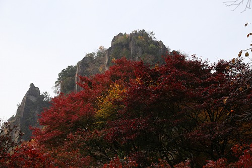 鳶ノ巣山7