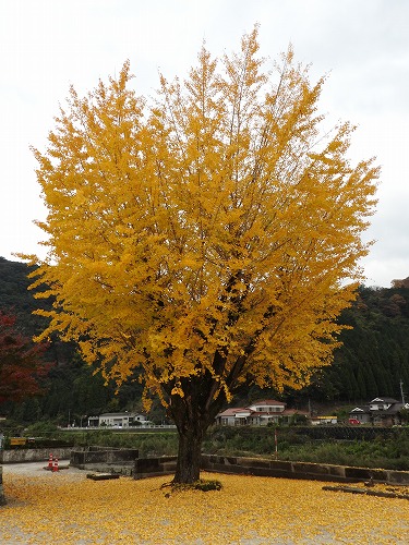 西浄寺9